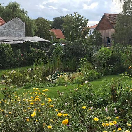 Schoene Gemuetliche Ferienwohnung Mit Kamin II Im Harz Darlingerode Extérieur photo