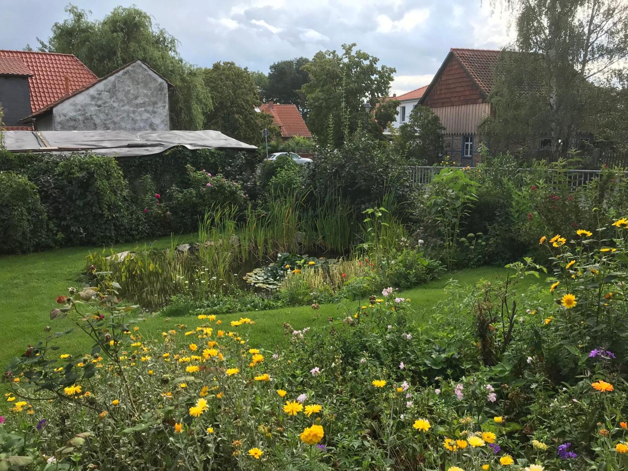 Schoene Gemuetliche Ferienwohnung Mit Kamin II Im Harz Darlingerode Extérieur photo